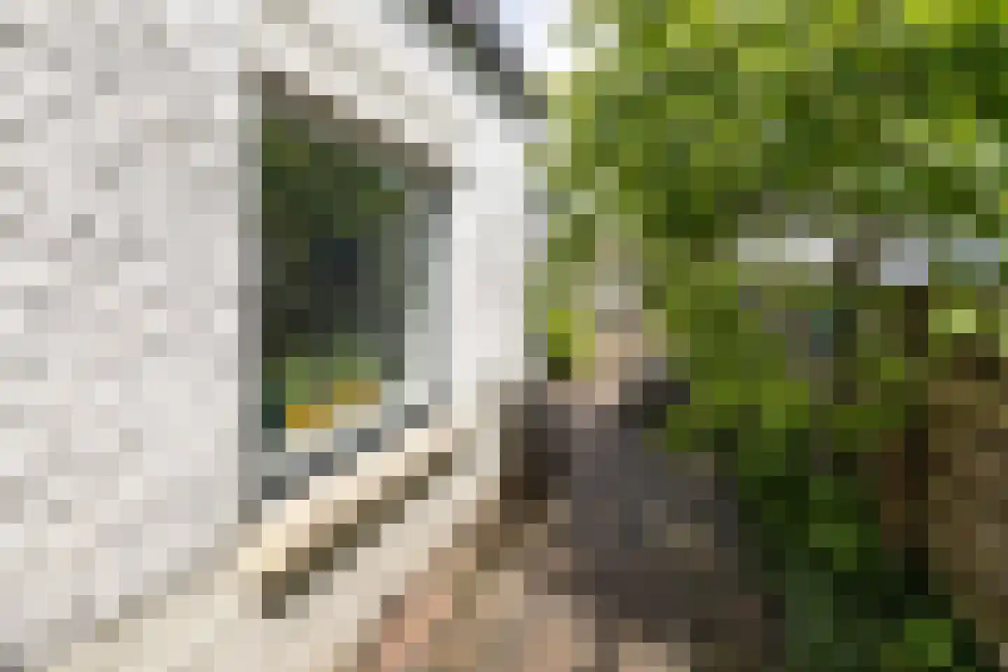 van Wassenaerstraat 27 Driebergen-Rijsenburg thumbnail 38