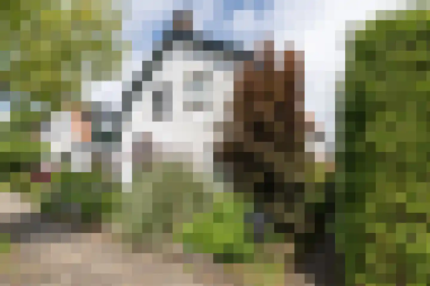 van Wassenaerstraat 27 Driebergen-Rijsenburg thumbnail 39