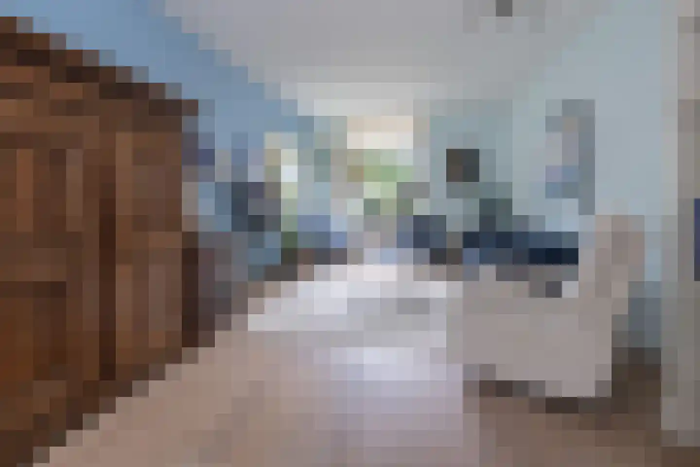 van Wassenaerstraat 27 Driebergen-Rijsenburg thumbnail 4