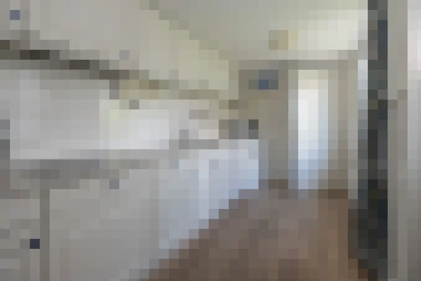 van Wassenaerstraat 27 Driebergen-Rijsenburg thumbnail 9