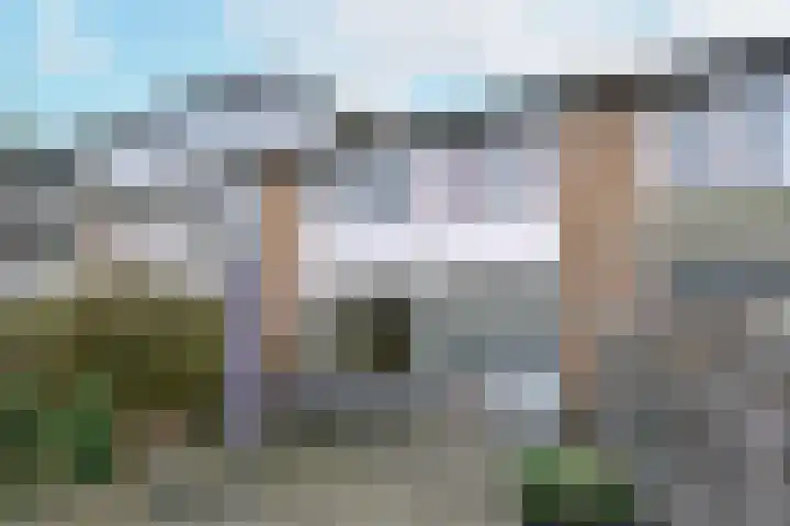 van Wassenaerstraat 31 Ter Aar thumbnail 25