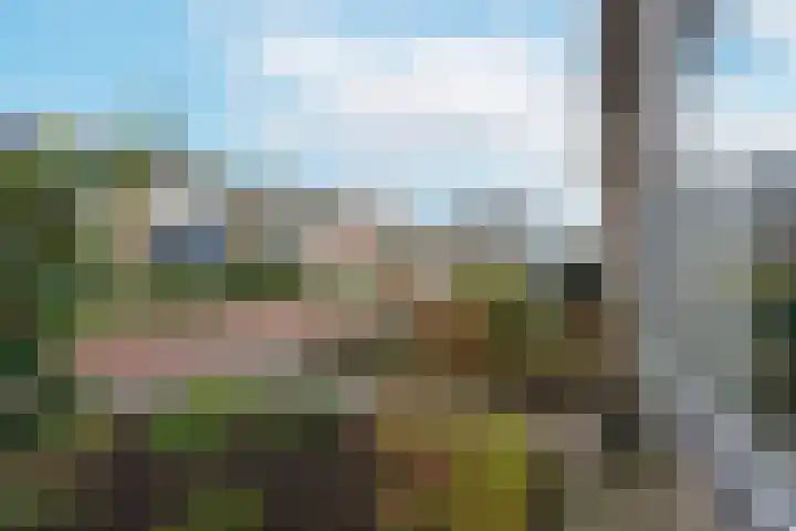 van Wassenaerstraat 31 Ter Aar thumbnail 27