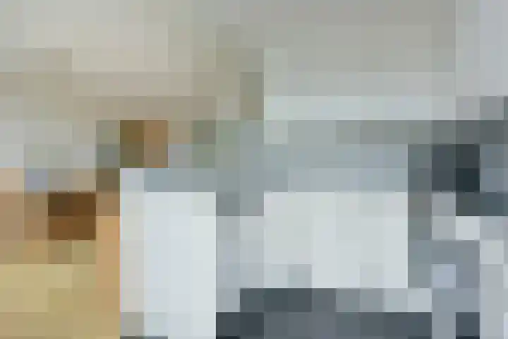 van Wassenaerstraat 31 Ter Aar thumbnail 4