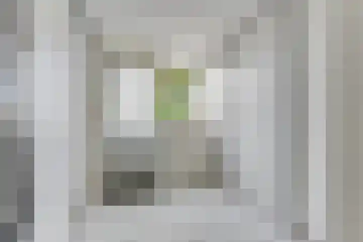 van Wassenaerstraat 4 Obdam thumbnail 20