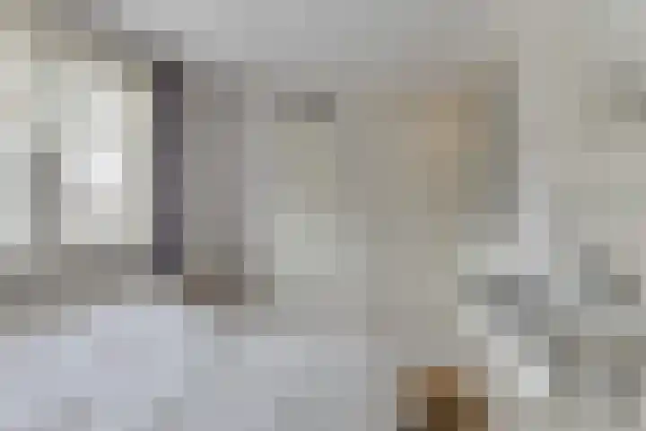 van Wassenaerstraat 4 Obdam thumbnail 36