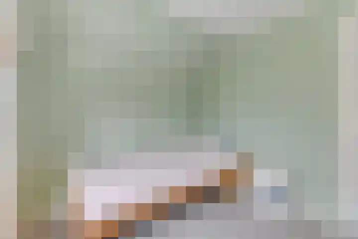 van Wassenaerstraat 4 Obdam thumbnail 38