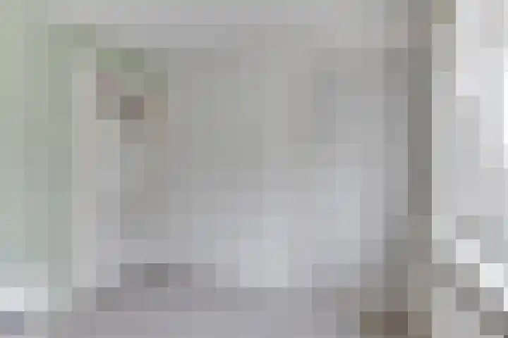 van Wassenaerstraat 4 Obdam thumbnail 39