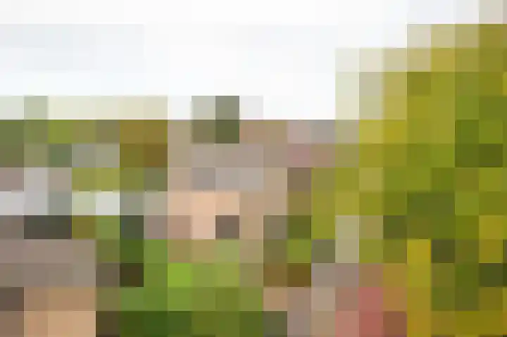 van Wassenaerstraat 4 Obdam thumbnail 4