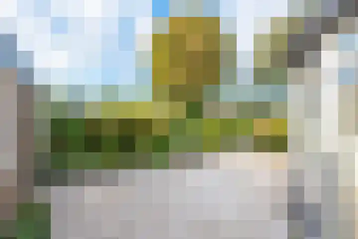 van Wassenaerstraat 4 Obdam thumbnail 40