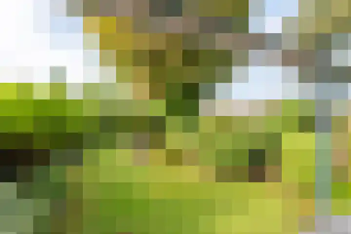 van Wassenaerstraat 4 Obdam thumbnail 44