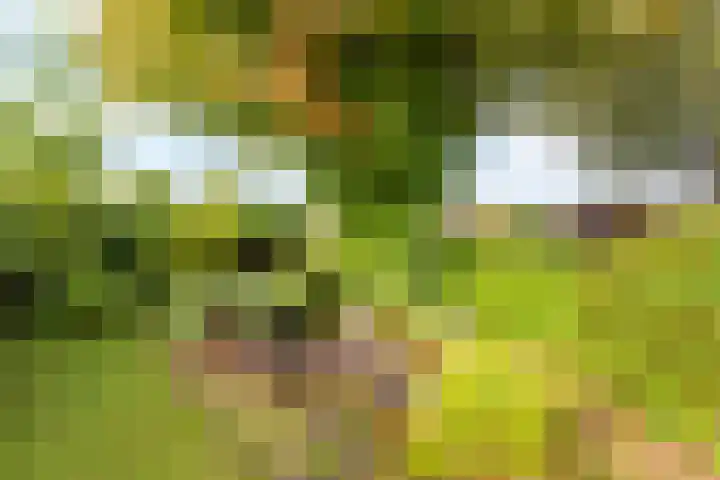 van Wassenaerstraat 4 Obdam thumbnail 45