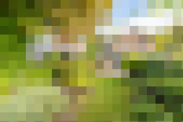 van Wassenaerstraat 4 Obdam thumbnail 46