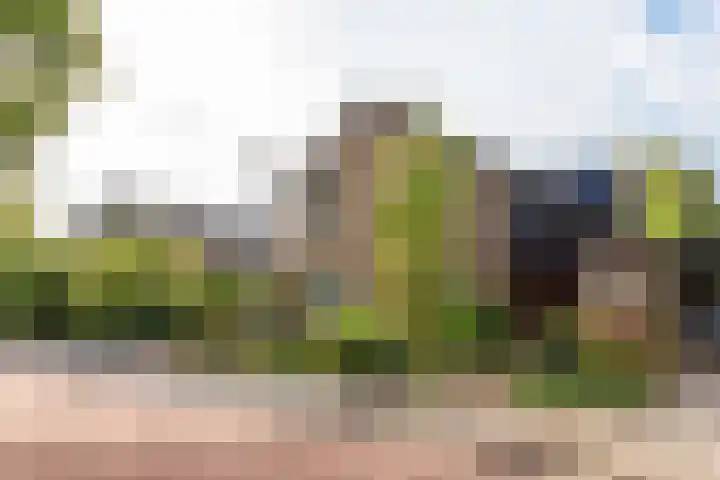 van Wassenaerstraat 4 Obdam thumbnail 6