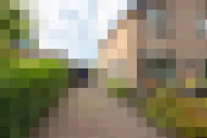 van Wassenaerstraat 4 Obdam thumbnail 7