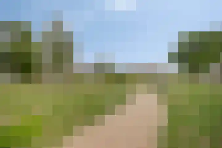 van Wassenaerstraat 4 Veghel thumbnail 32