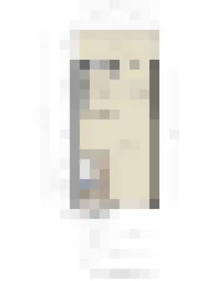 van Wassenaerstraat 4 Veghel thumbnail 34