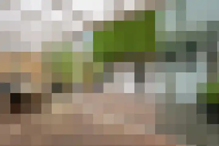 van Wassenaerstraat 4 Veghel thumbnail 5