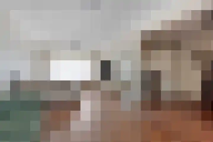 van Wassenaerstraat 4 Veghel thumbnail 9
