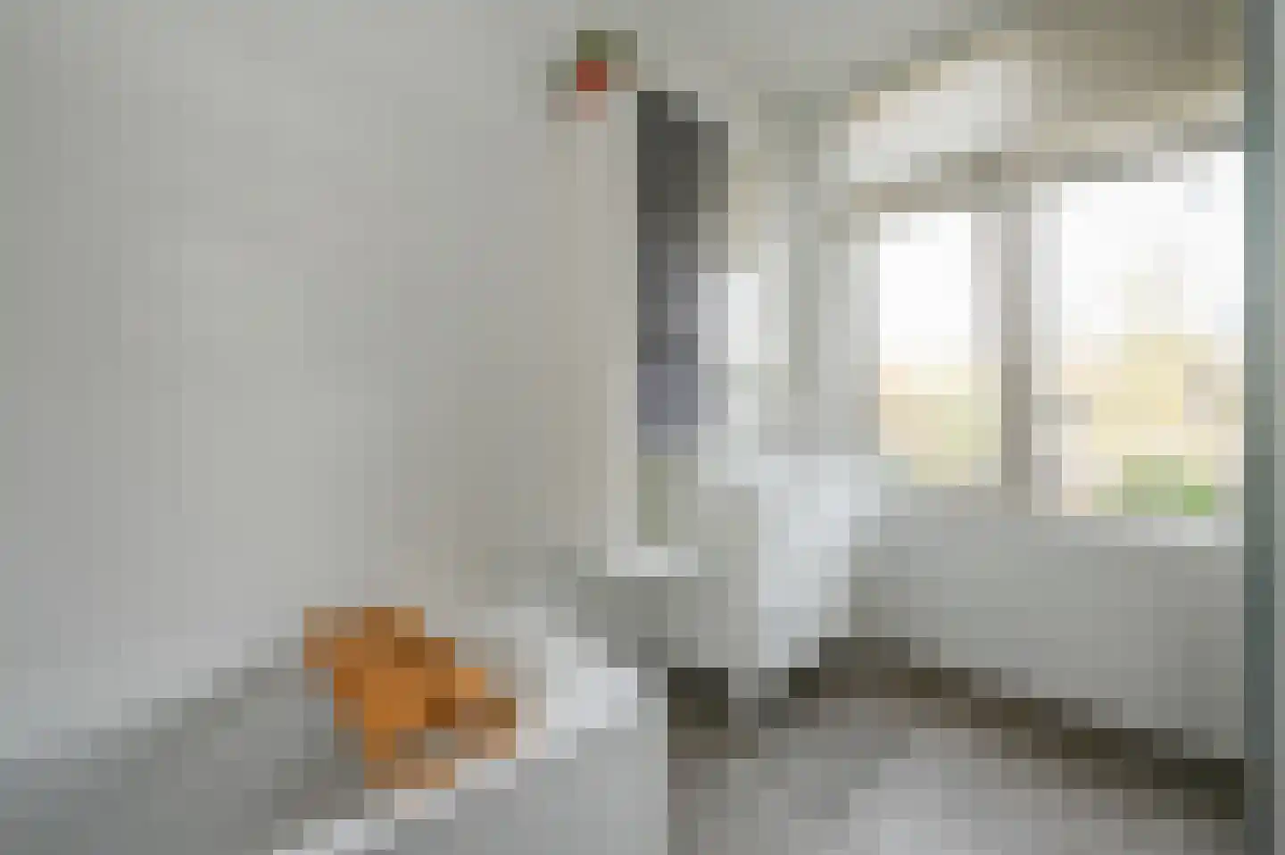 van Wassenaerstraat 40 Voorburg thumbnail 17