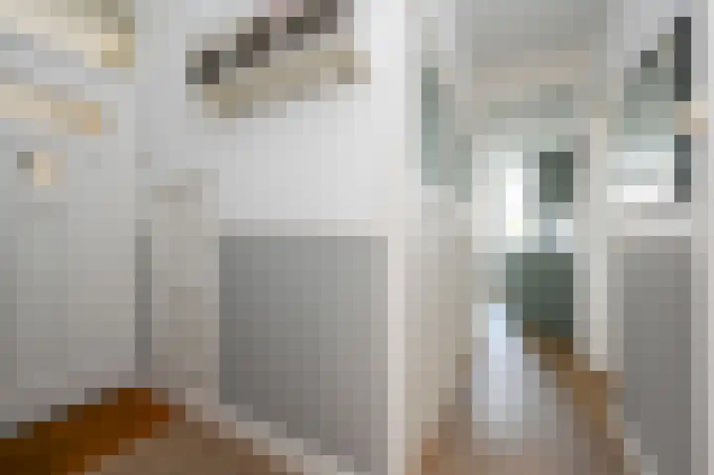 van Wassenaerstraat 40 Voorburg thumbnail 4