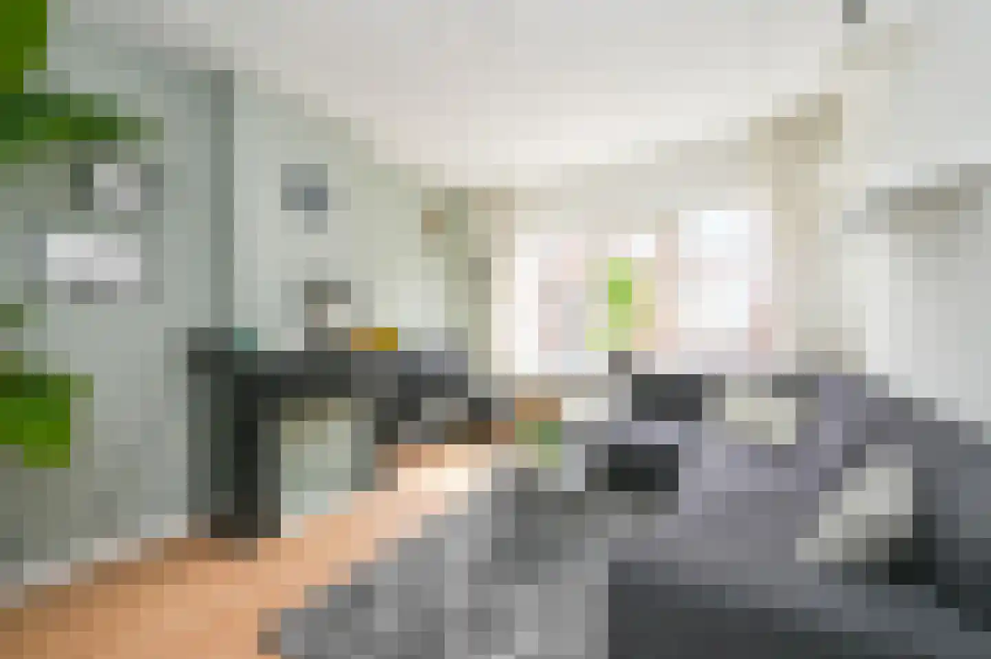 van Wassenaerstraat 40 Voorburg thumbnail 7