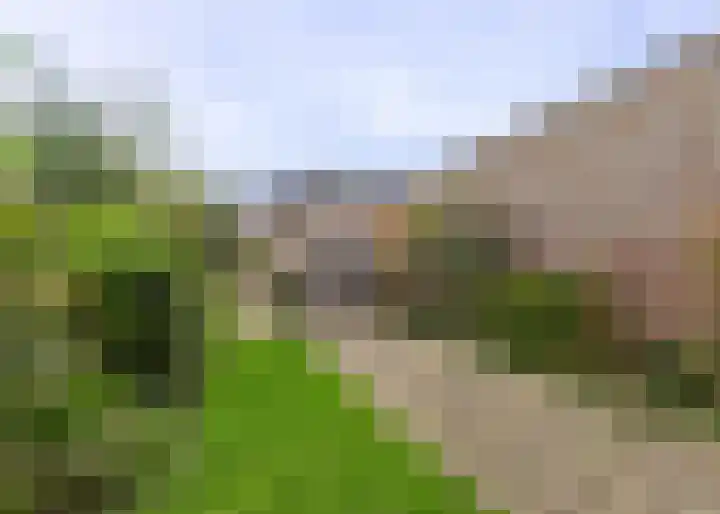 van Wassenaerstraat 44 Ter Aar thumbnail 13