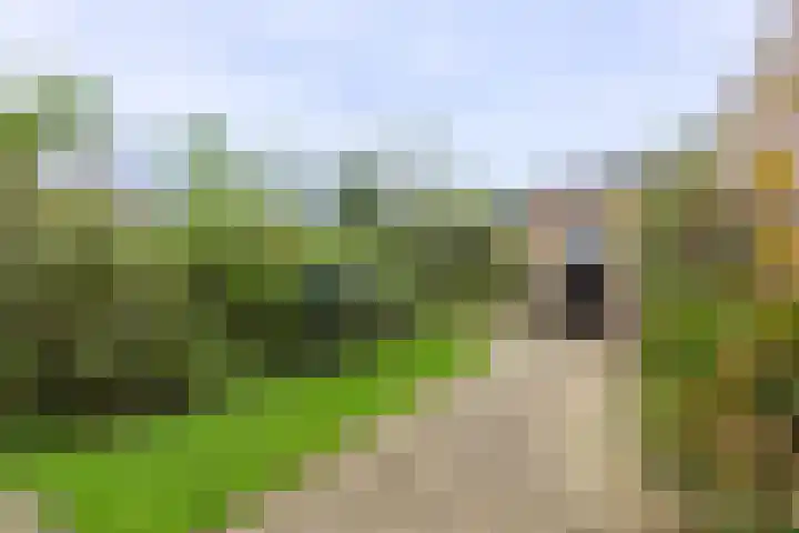 van Wassenaerstraat 44 Ter Aar thumbnail 14