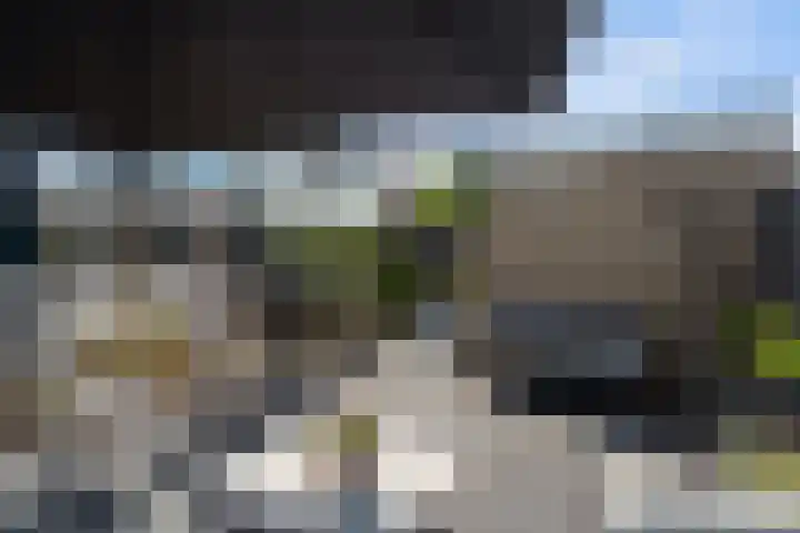 van Wassenaerstraat 54 Oud-Beijerland thumbnail 17