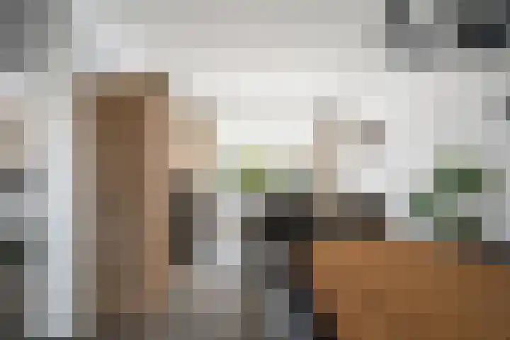 van Wassenaerstraat 54 Oud-Beijerland thumbnail 6