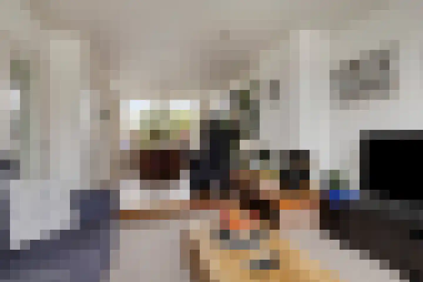 van Wassenaerstraat 6 Oud-Beijerland thumbnail 13