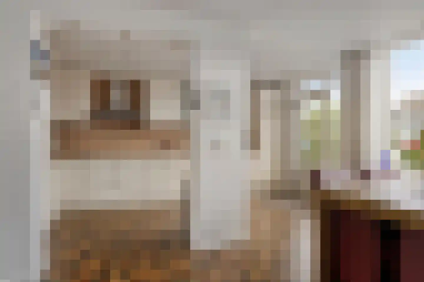 van Wassenaerstraat 6 Oud-Beijerland thumbnail 14