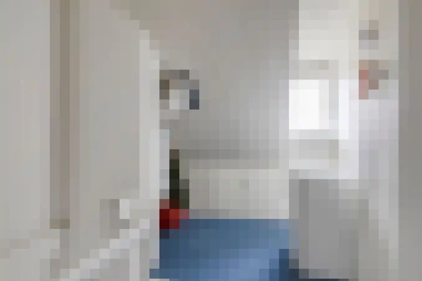 van Wassenaerstraat 6 Oud-Beijerland thumbnail 22