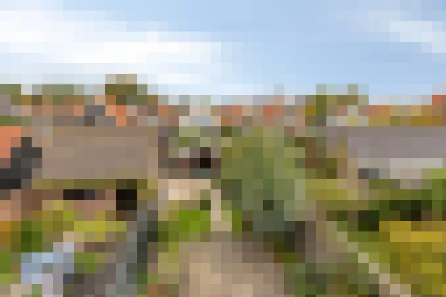 van Wassenaerstraat 6 Oud-Beijerland thumbnail 27