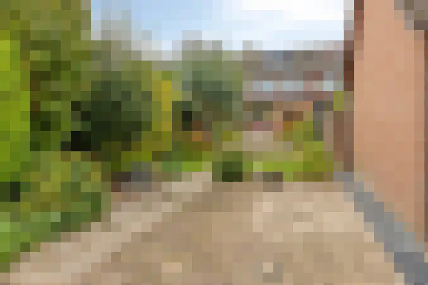 van Wassenaerstraat 6 Oud-Beijerland thumbnail 29