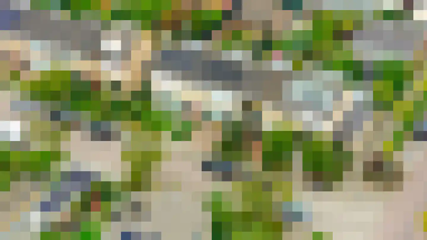 van Wassenaerstraat 6 Oud-Beijerland thumbnail 6