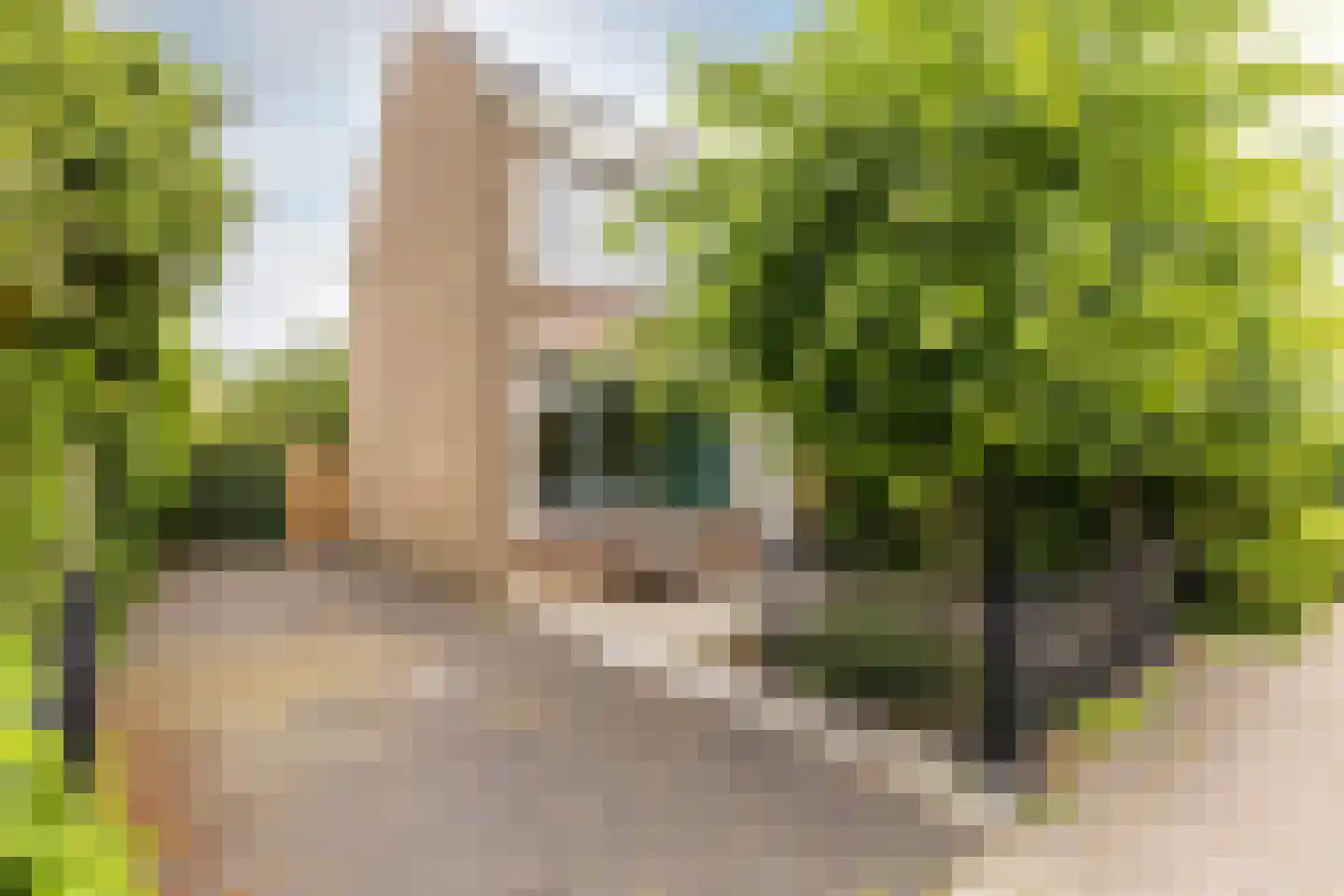 van Wassenaerstraat 68 Oud-Beijerland thumbnail 25