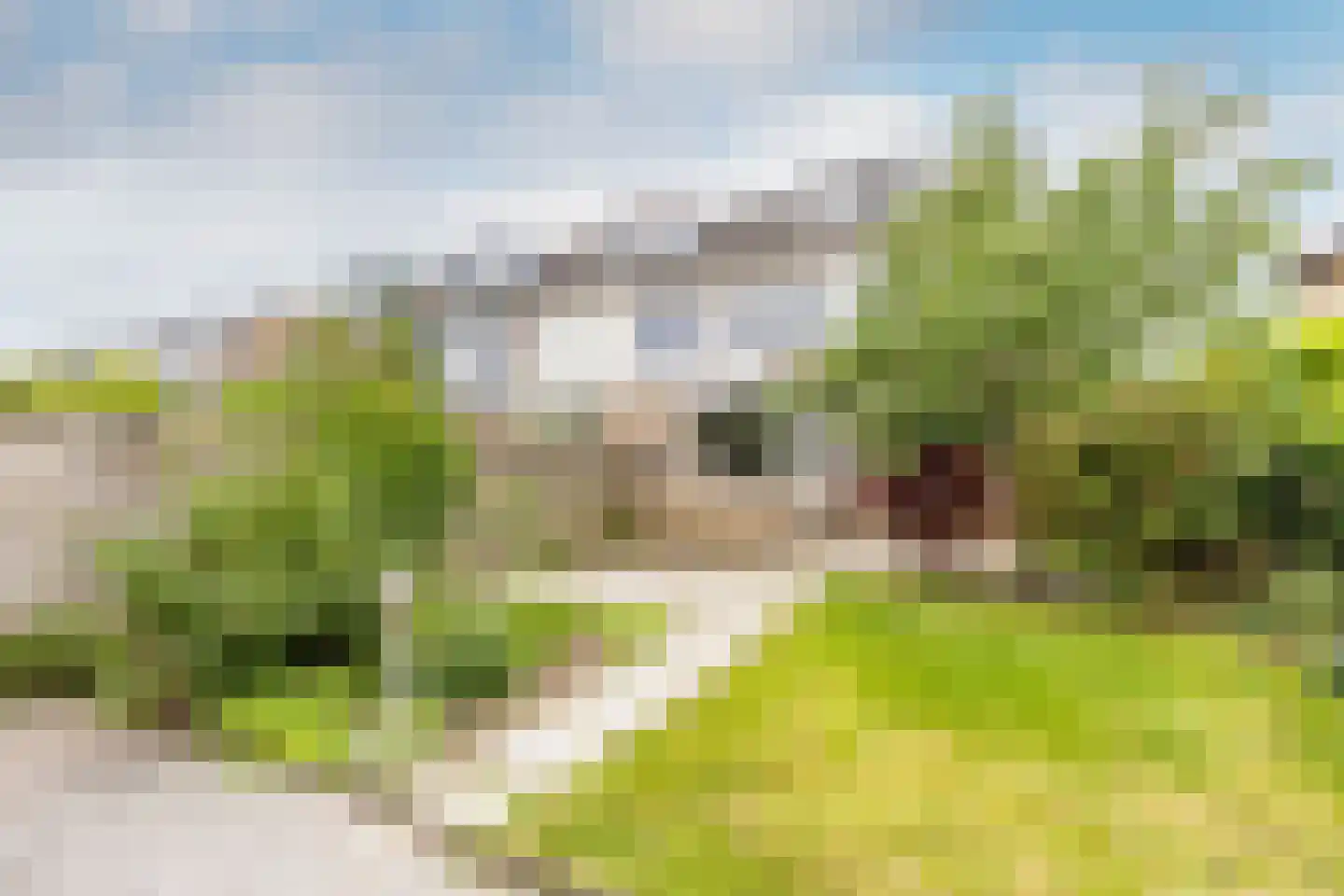van Wassenaerstraat 68 Oud-Beijerland thumbnail 26