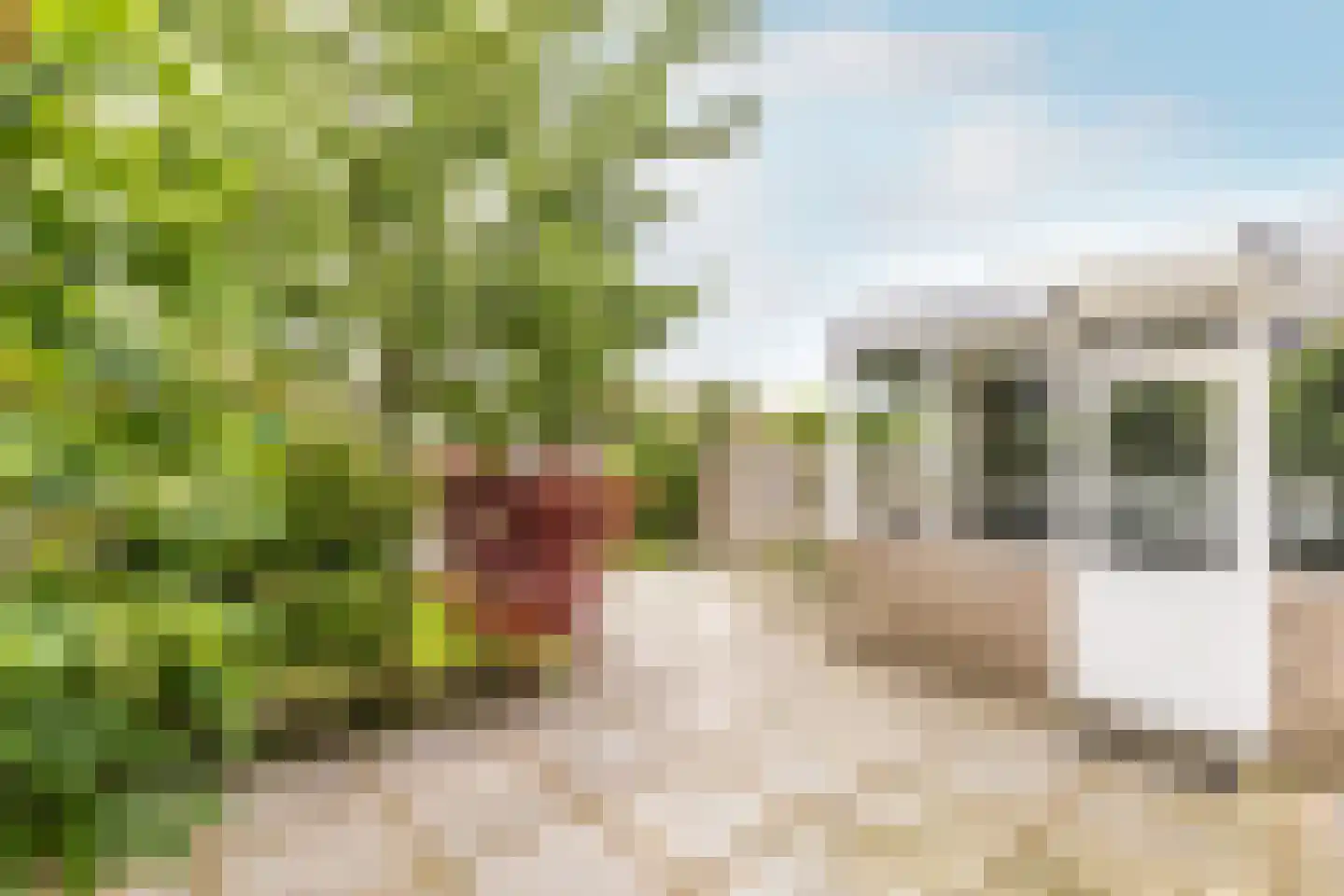 van Wassenaerstraat 68 Oud-Beijerland thumbnail 28