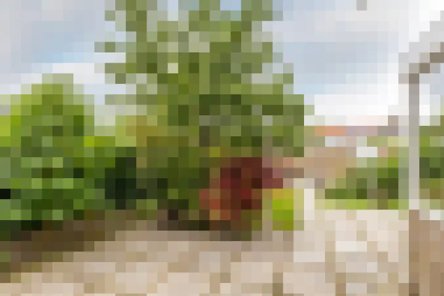 van Wassenaerstraat 68 Oud-Beijerland thumbnail 29