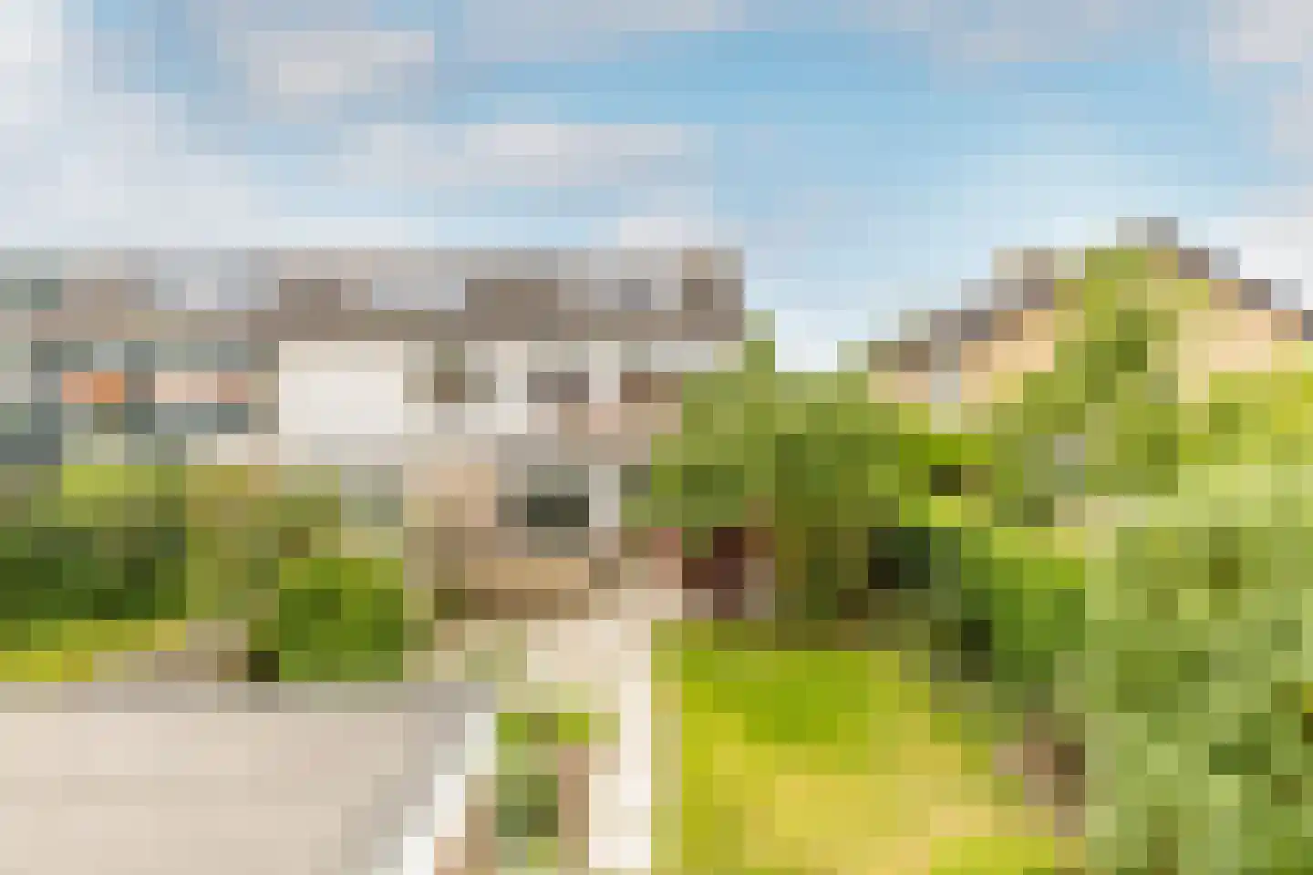 van Wassenaerstraat 68 Oud-Beijerland thumbnail 32