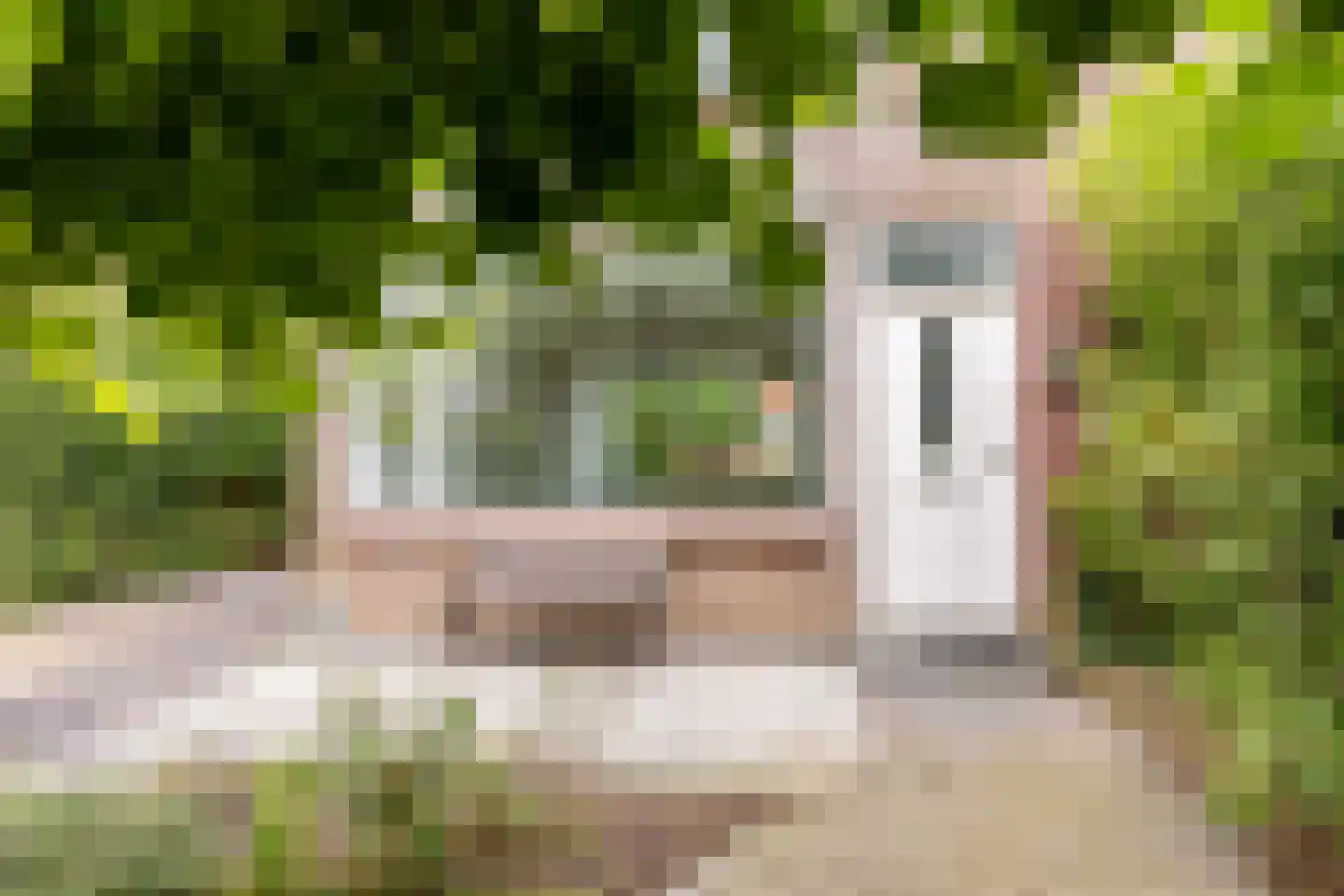 van Wassenaerstraat 68 Oud-Beijerland thumbnail 5
