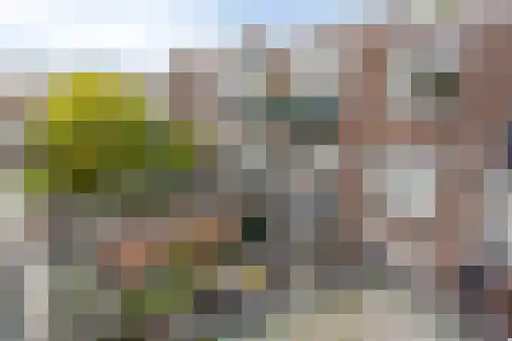 van Wassenaerstraat 8 Voorburg thumbnail 21