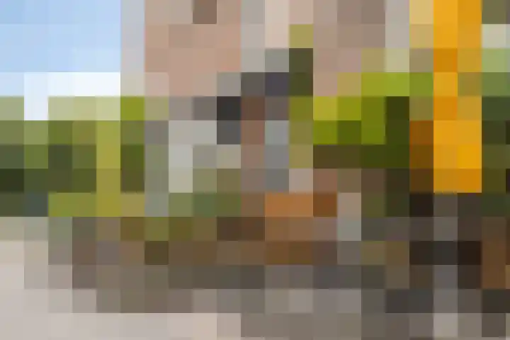 van Wassenaerstraat 8 Voorburg thumbnail 26