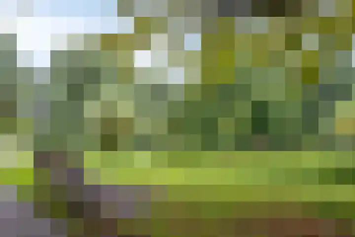 van Wassenaerstraat 8 Voorburg thumbnail 28