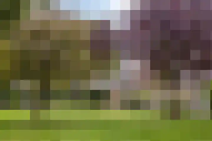 van Wassenaerstraat 8 Voorburg thumbnail 30