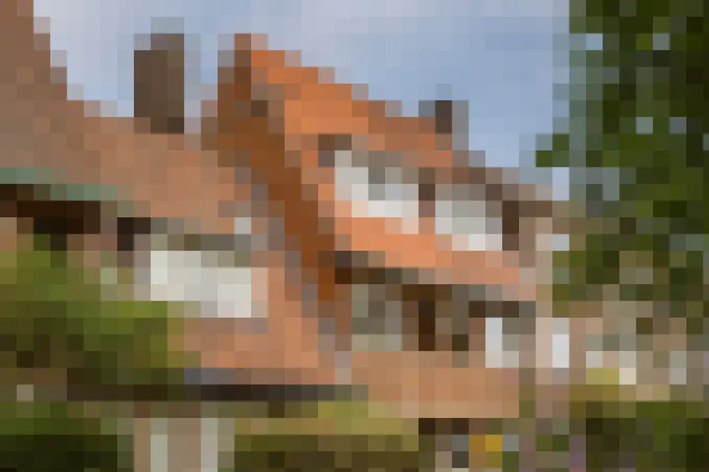 van Wassenaerstraat 82 Voorburg