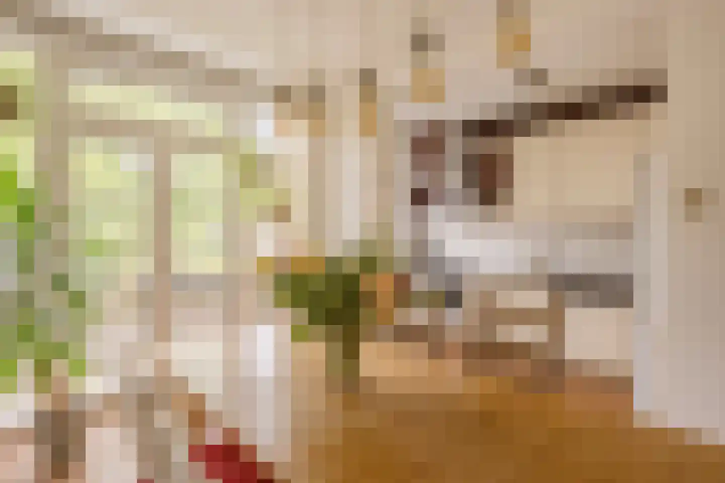 van Wassenaerstraat 82 Voorburg thumbnail 12