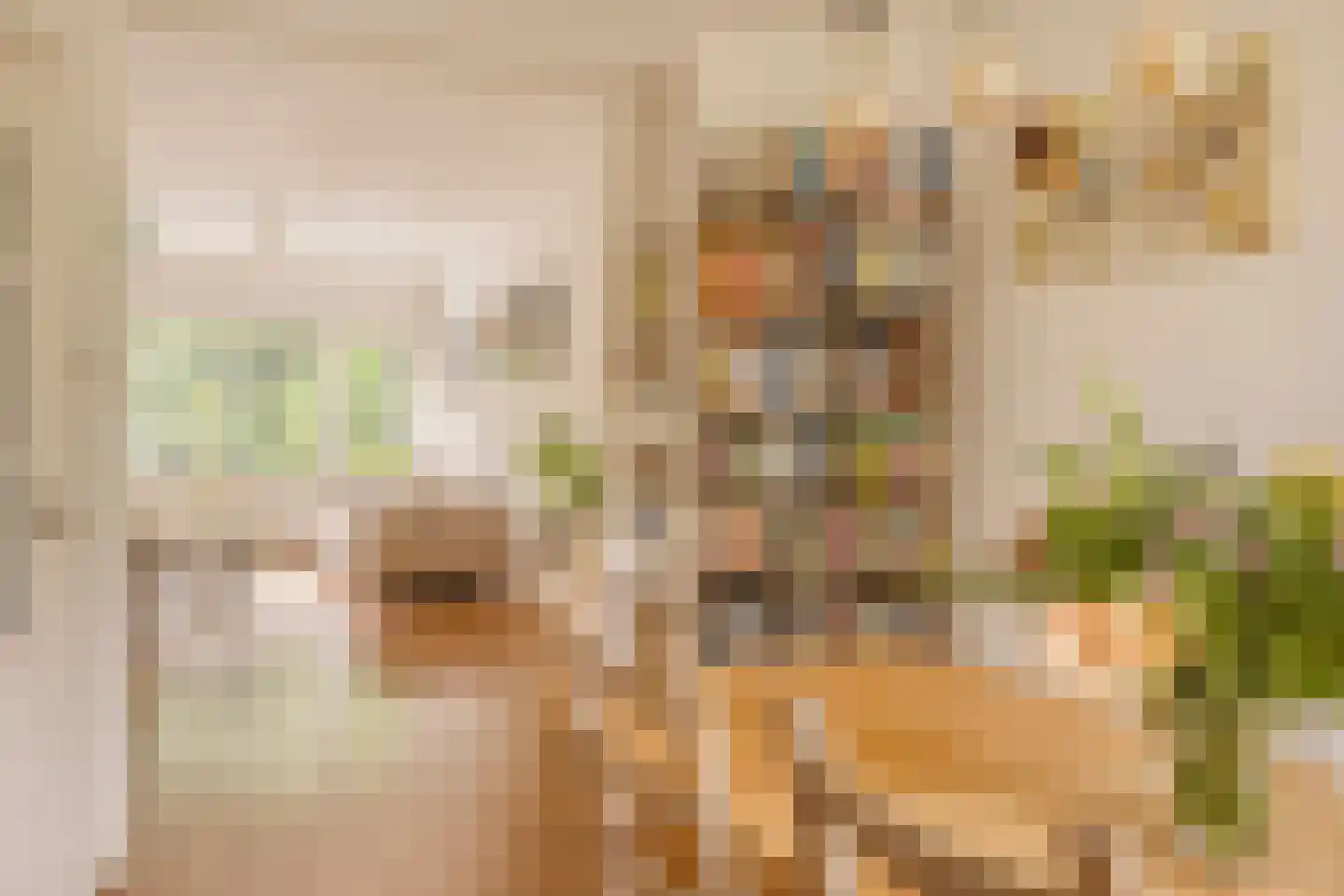 van Wassenaerstraat 82 Voorburg thumbnail 16