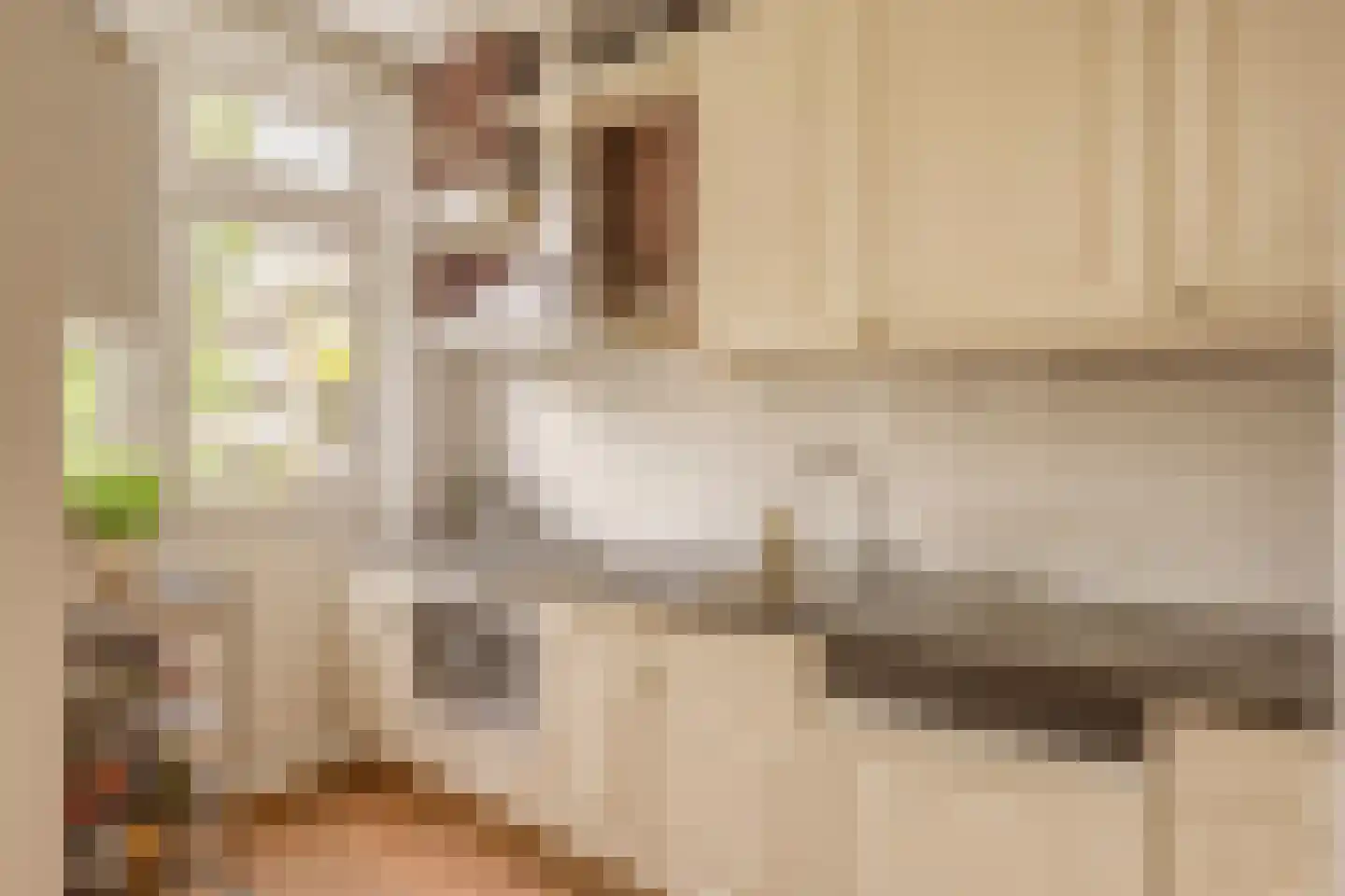 van Wassenaerstraat 82 Voorburg thumbnail 17