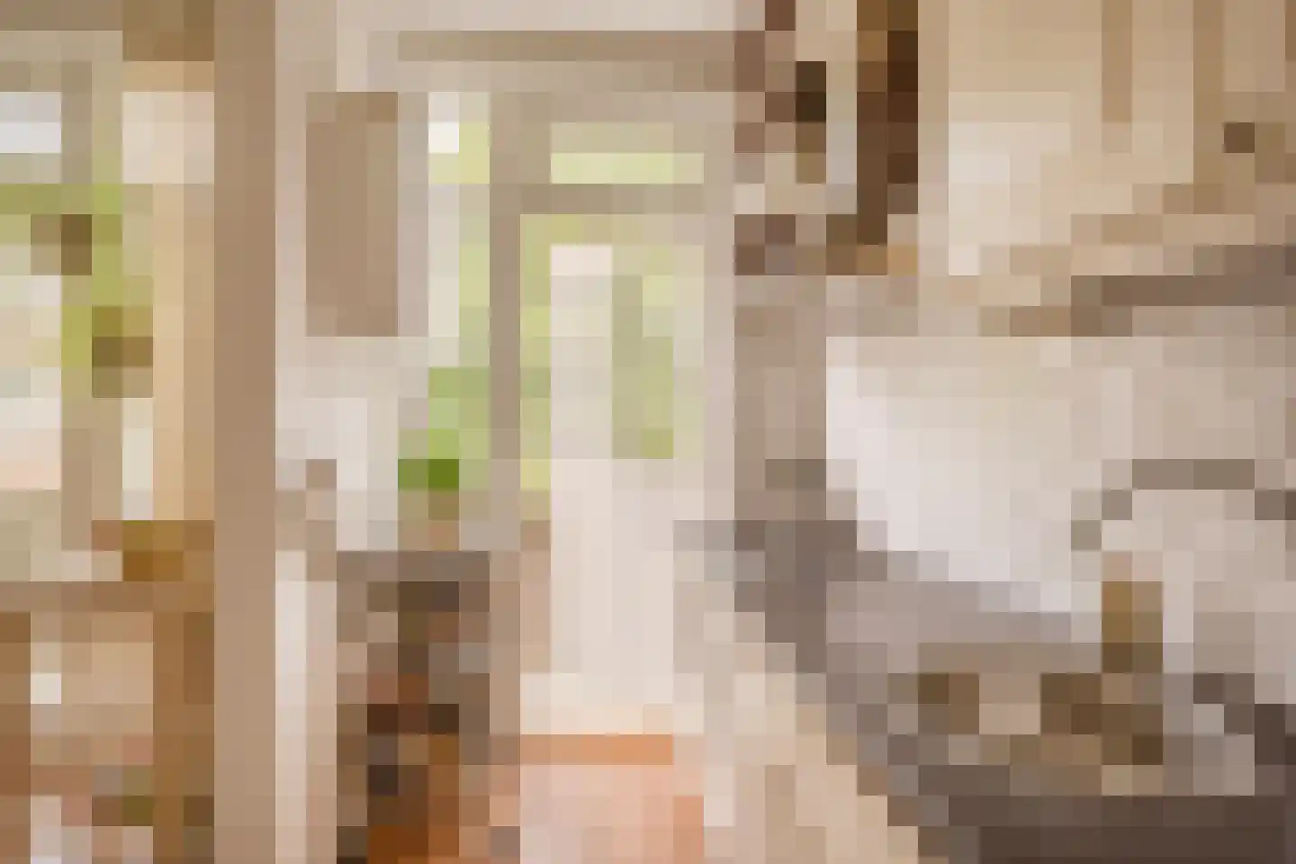 van Wassenaerstraat 82 Voorburg thumbnail 18